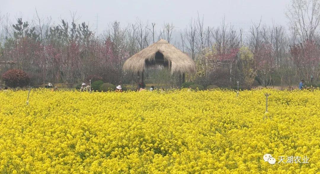 生態(tài)觀光